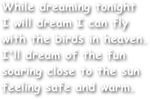 While dreaming tonight
I will dream I can fly
with the birds in heaven.
I'll dream of the fun
soaring close to the sun 
feeling safe and warm.