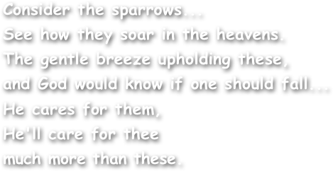 Consider the sparrows...
See how they soar in the heavens.
The gentle breeze upholding these,
and God would know if one should fall...
He cares for them,
He'll care for thee
much more than these.