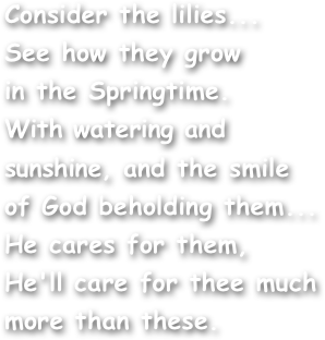 Consider the lilies...
See how they grow
in the Springtime.
With watering and
sunshine, and the smile
of God beholding them...
He cares for them,
He'll care for thee much more than these.