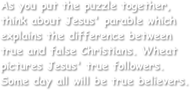 As you put the puzzle together, think about Jesus' parable which explains the difference between true and false Christians. Wheat pictures Jesus' true followers. Some day all will be true believers.